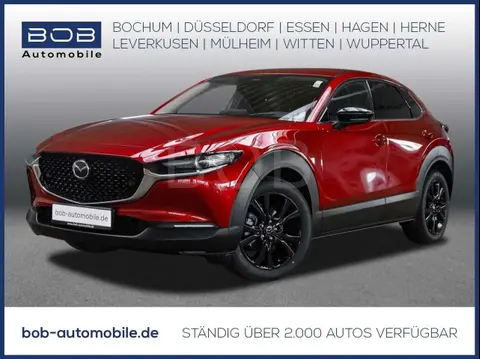 Annonce MAZDA CX-30 Essence 2024 d'occasion 