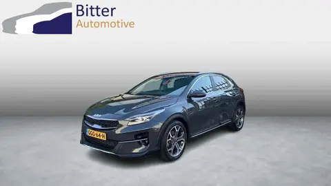 Used KIA XCEED Petrol 2022 Ad 