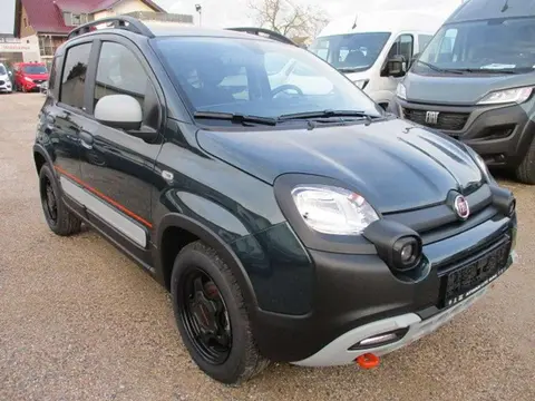 Used FIAT PANDA Petrol 2024 Ad 