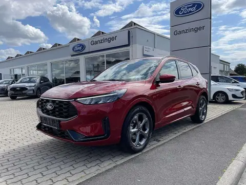 Annonce FORD KUGA Essence 2024 d'occasion 