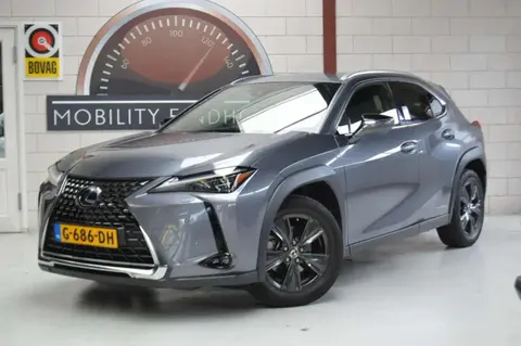 Used LEXUS UX Hybrid 2019 Ad 