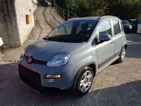 Annonce FIAT PANDA Hybride 2022 d'occasion 