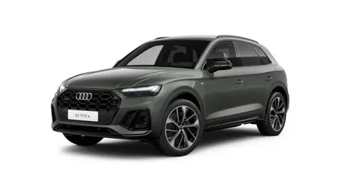 Used AUDI Q5 Hybrid 2024 Ad 