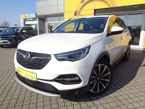 Used OPEL GRANDLAND Hybrid 2020 Ad 