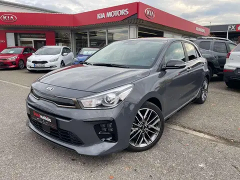 Annonce KIA RIO Essence 2021 d'occasion 