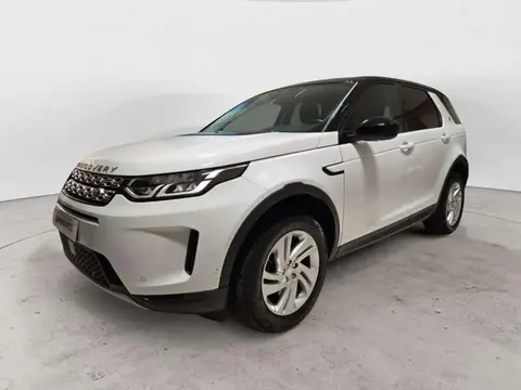 Used LAND ROVER DISCOVERY Hybrid 2021 Ad 