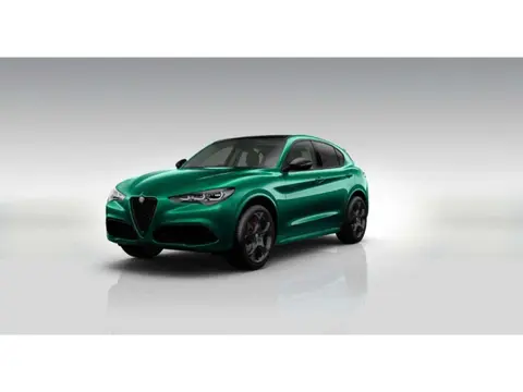 Annonce ALFA ROMEO STELVIO Essence 2024 d'occasion 