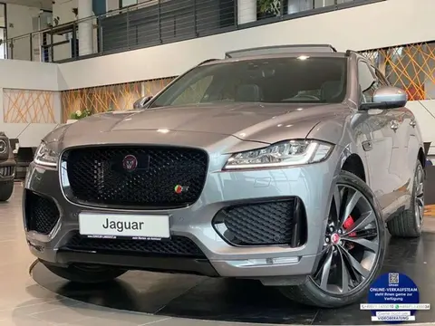 Used JAGUAR F-PACE Diesel 2019 Ad 