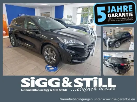 Used FORD KUGA Petrol 2024 Ad 