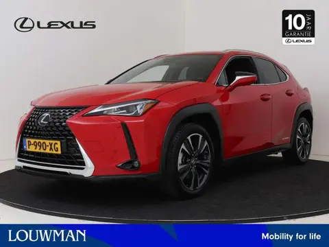 Used LEXUS UX Hybrid 2022 Ad 