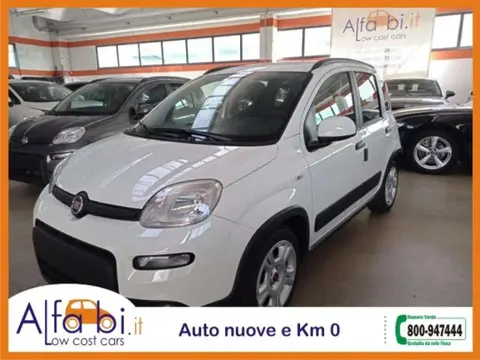 Annonce FIAT PANDA Hybride 2023 d'occasion 