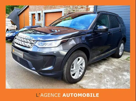 Used LAND ROVER DISCOVERY Diesel 2022 Ad Belgium