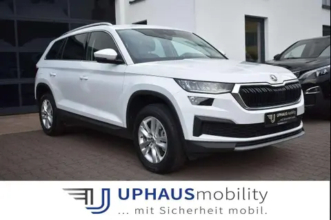 Used SKODA KODIAQ Diesel 2023 Ad 