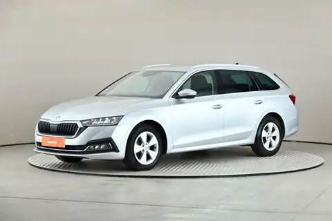 Annonce SKODA OCTAVIA Diesel 2020 d'occasion 