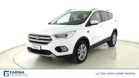 Used FORD KUGA Diesel 2019 Ad 