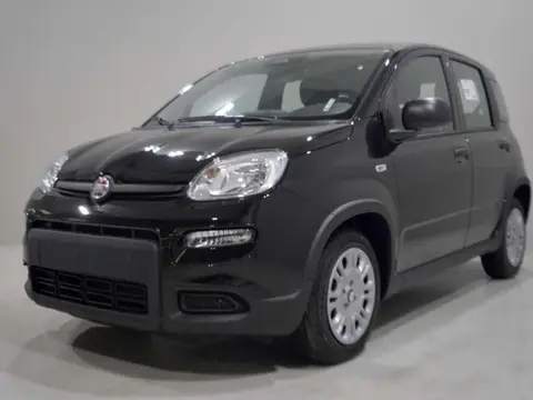 Annonce FIAT PANDA Hybride 2024 d'occasion 