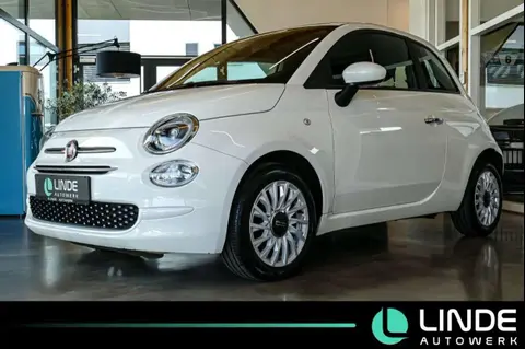 Used FIAT 500 Petrol 2020 Ad 