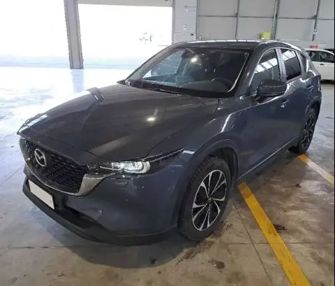 Annonce MAZDA CX-5 Diesel 2023 d'occasion 