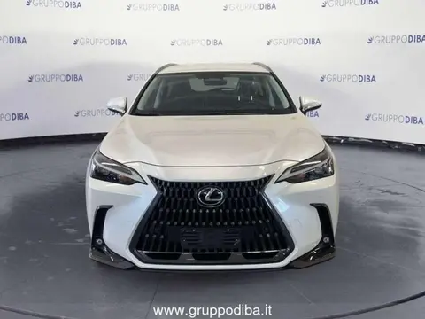 Used LEXUS NX  2024 Ad 