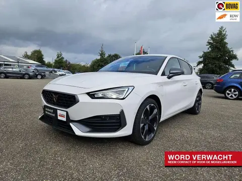 Annonce CUPRA LEON Hybride 2022 d'occasion 