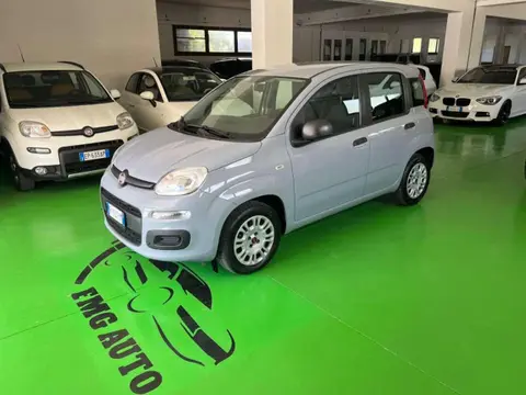 Annonce FIAT PANDA Essence 2019 d'occasion 