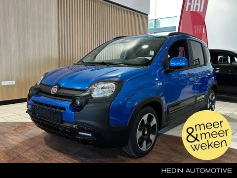 Annonce FIAT PANDA Essence 2024 d'occasion 