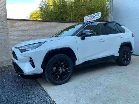 Used TOYOTA RAV4 Hybrid 2023 Ad 