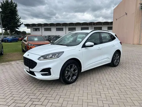 Annonce FORD KUGA Hybride 2022 d'occasion 