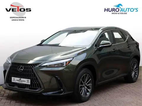 Annonce LEXUS NX Hybride 2023 d'occasion 