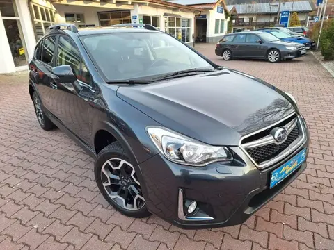 Used SUBARU XV Petrol 2017 Ad 