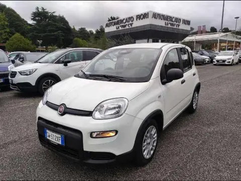 Annonce FIAT PANDA  2024 d'occasion 