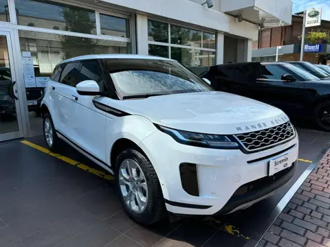 Used LAND ROVER RANGE ROVER EVOQUE Hybrid 2021 Ad 