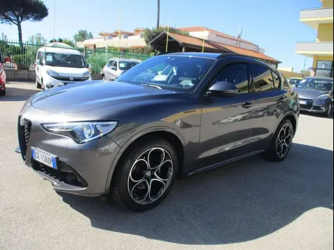 Used ALFA ROMEO STELVIO Diesel 2021 Ad 