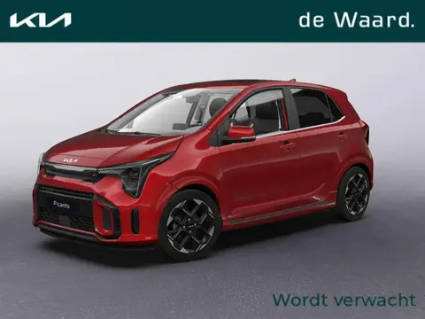 Used KIA PICANTO Petrol 2024 Ad 