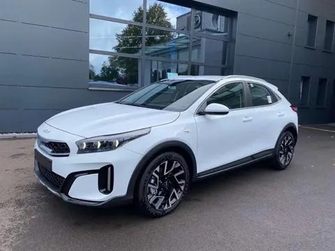 Annonce KIA XCEED Essence 2024 d'occasion 