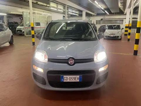 Used FIAT PANDA Hybrid 2021 Ad 