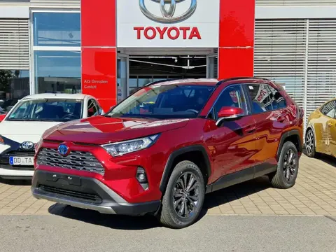 Annonce TOYOTA RAV4 Hybride 2024 d'occasion 