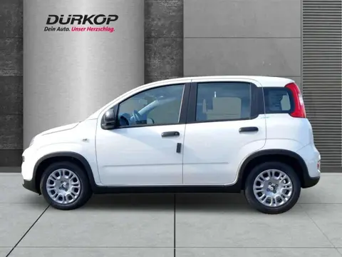 Used FIAT PANDA Hybrid 2024 Ad 