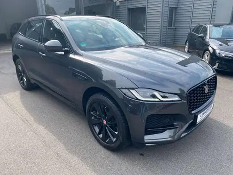 Used JAGUAR F-PACE Hybrid 2021 Ad 