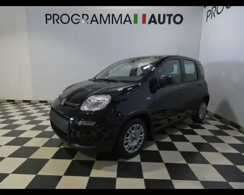 Used FIAT PANDA Hybrid 2024 Ad 