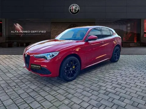 Used ALFA ROMEO STELVIO Diesel 2020 Ad 