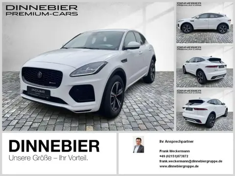 Used JAGUAR E-PACE Diesel 2023 Ad 