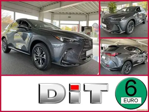 Used LEXUS NX Hybrid 2024 Ad 