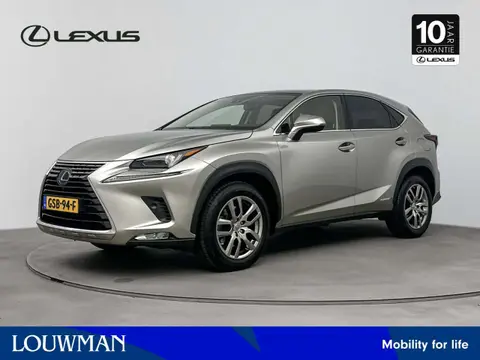 Used LEXUS NX Hybrid 2020 Ad 