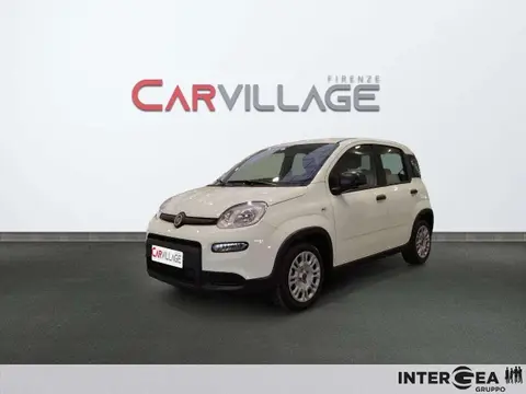 Used FIAT PANDA Hybrid 2023 Ad 