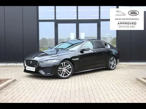 Used JAGUAR XE Petrol 2021 Ad 