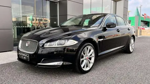 Used JAGUAR XF Diesel 2014 Ad 