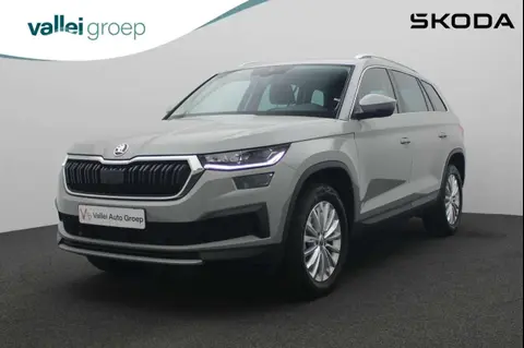 Used SKODA KODIAQ Petrol 2024 Ad 