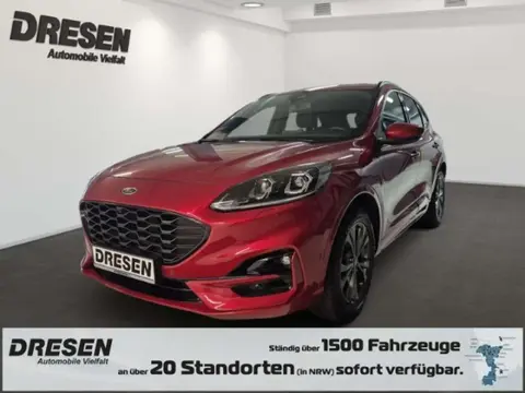 Annonce FORD KUGA Essence 2020 d'occasion 