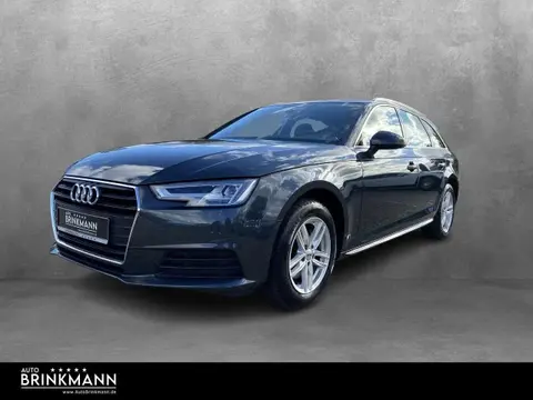 Used AUDI A4 Petrol 2017 Ad 